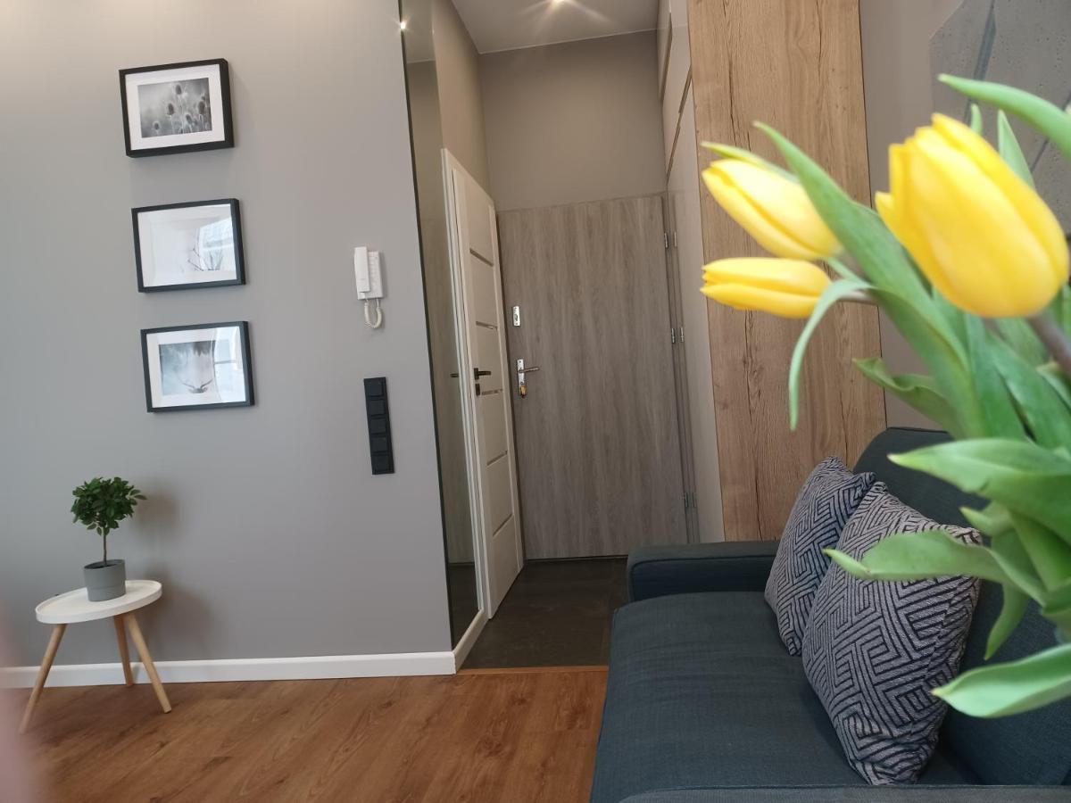 Apartament Piotrkowska 37 Studio 우치 외부 사진